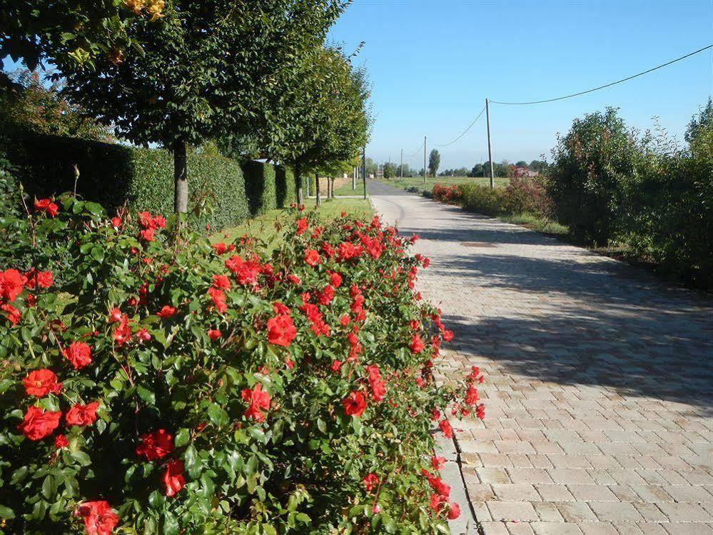 B&B Via Punta 8 Bologna Exterior photo